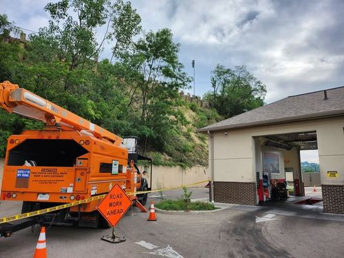 All Photos for Carpenter's Tree Service in Aurora, IN