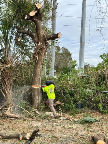  for Broadway Tree Care in Inverness, FL