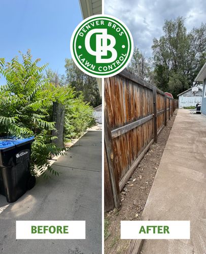 Shrub, Bush & Tree Trimming for Denver Bros Lawn Control in Denver, CO