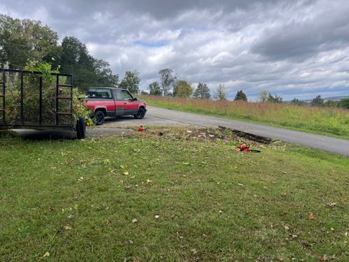 All Photos for The Yard Barbers in Somerset, KY