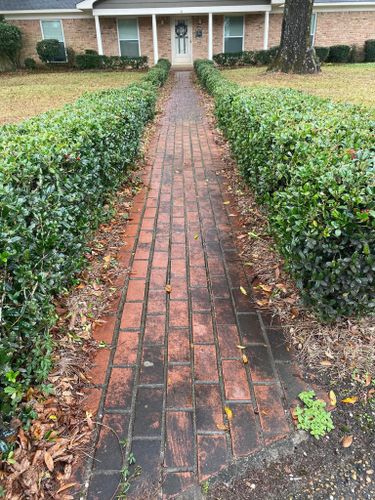 Fall and Spring Clean Up for All-Star Lawn Care & Soft Washing in Mobile, AL