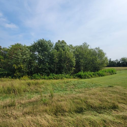  for Z's Land Management & Forestry Mulching in Smithville, TN