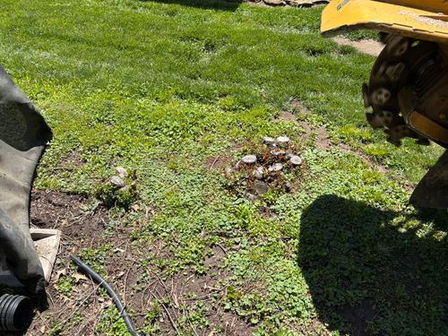 Stump Removal for Conrad's Stump Removal in Columbus, IN