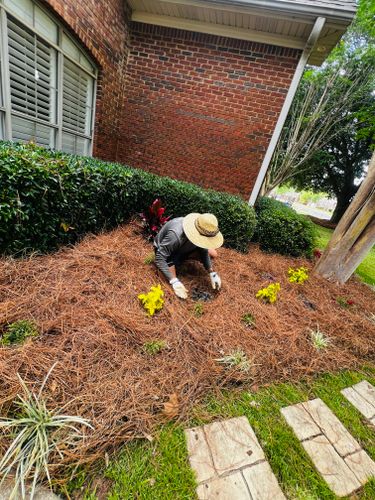  for Enhanced Landscape in Daphne, AL