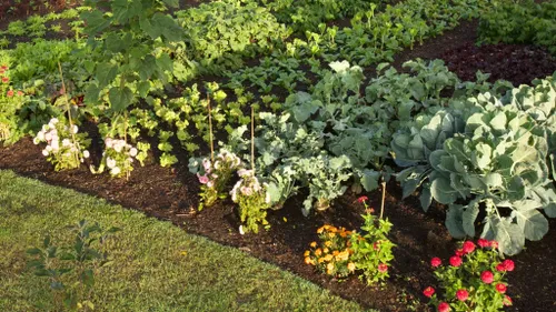  for Will's Wells in Cambridge, MA