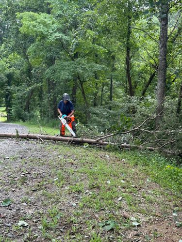 All Photos for Ramirez Tree Care in Elkin, NC