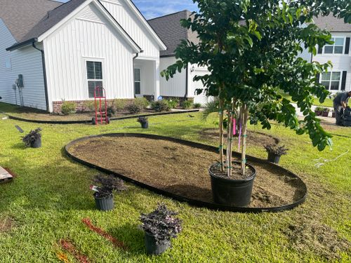 All Photos for New Creation Landscaping in Myrtle Beach, SC