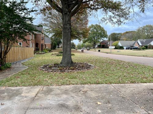 Residential Landscaping for Emory's Garden Landscape Emporium in Memphis,  TN