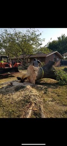 Tree Removal for Superior Lawn and Tree LLC in Clifton, TX