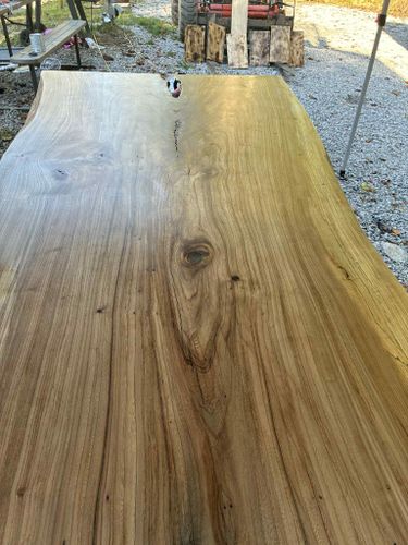  for Brocks Tree Service LLC in Rogersville, TN