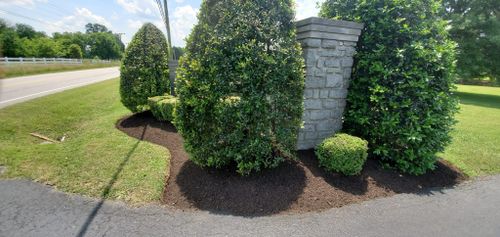 Mulch Installation for Adams Lawn Service & Landscaping, Inc. in Shelbyville, TN