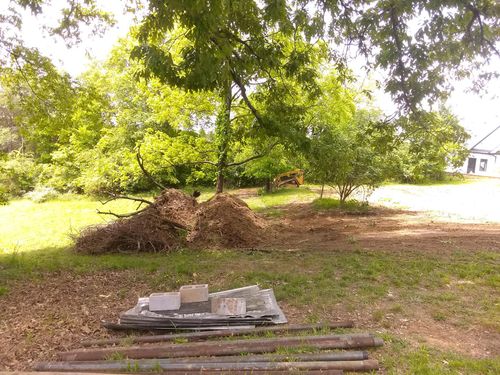 Tree Removal for KTN Excavation in Clinton, TN