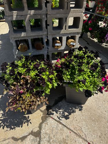 Gardening for Mayfield Landscaping in Staunton, IL