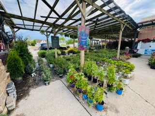 Gardening for Mayfield Landscaping in Staunton, IL