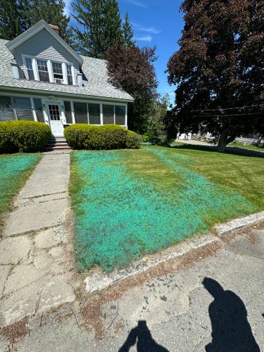 Hydroseeding Services for Northern Lawn And Landscape  in Sebec, ME