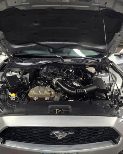 Exterior Detailing for Luxury Auto Detail in Peoria, IL