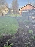  for Bearforce Lawn Care LLC in Greenfield, IN