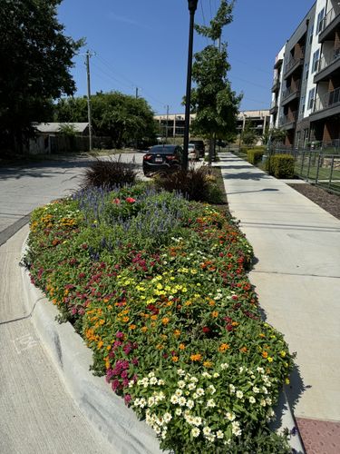 Seasonal color changes for Guerrero's Landscape in Fort Worth,  TX