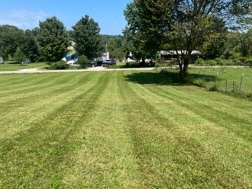 All Photos for The Yard Barbers in Somerset, KY