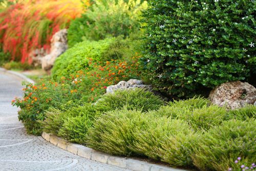  for Terra Heights Tree Experts & Landscaping  in Grass Valley,  CA