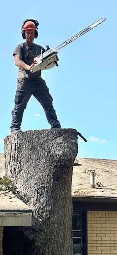 Tree Removal for Lamb Brothers Clearing in Murray, KY