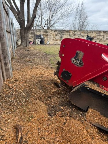 Tree Removal for Oakley’s Stump ‘N Grind in Leander, TX