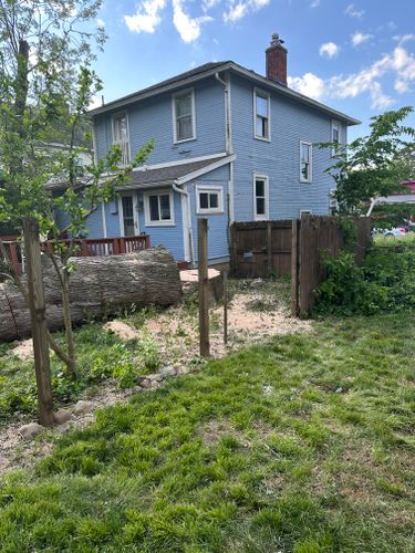 All Photos for Pro Tree Trim & Removal, Llc in Dayton, OH