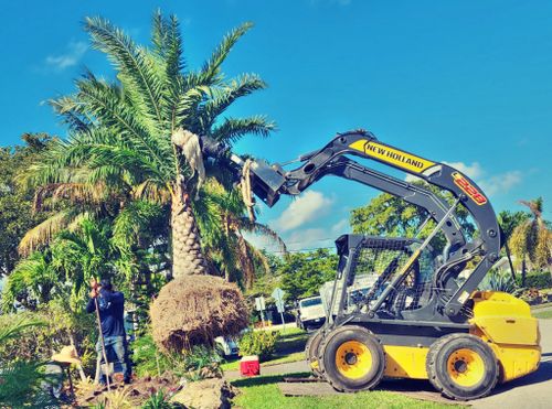 Tree Trimming and Removal for Bridgewater Arbor Care LLC in Jupiter, FL