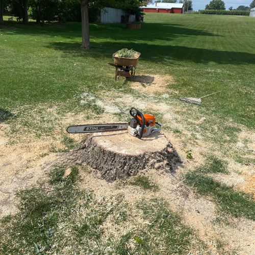 All Photos for Arthur’s Mowing and Firewood in Cambridge, IL