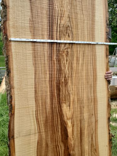 Wood Slabs for Bennett Logging in Gosport, Indiana