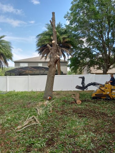 All Photos for A Southern Style Tree Service in Orlando, FL