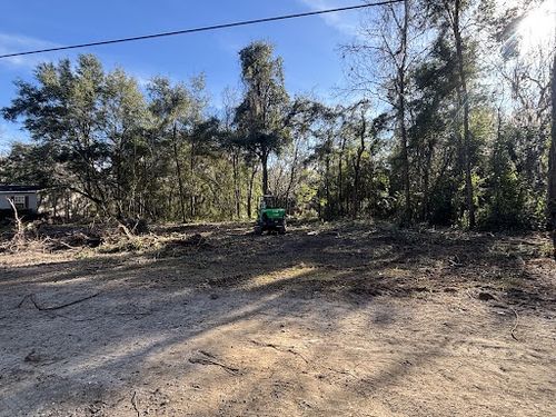 Tree Trimming & Removals for Aztec Land Destroyers LLC in Ocala, FL