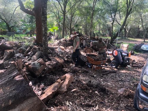 Tree Removal for Adam's Tree and Stump Care in Bradenton, Florida