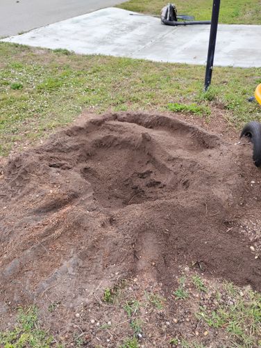 Stump Removal for Highlands Tree Service LLC in Avon Park, FL
