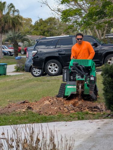 All Photos for Highlife Tree Care And Landscaping in Altamonte Springs, FL