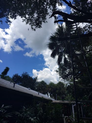  for Nick of Time Tree Service in North Port, FL