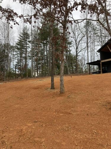Land Clearing for Gibson Grade Works in Towns County, GA