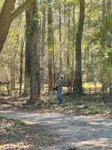  for Southern Venom Services in Daphne, AL