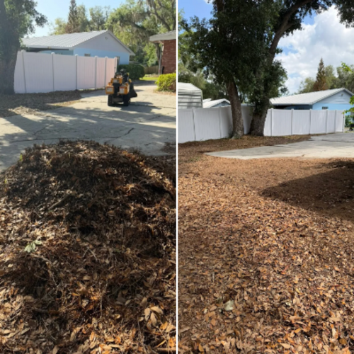  for Greene Acres Stump Grinding in Plant City, FL