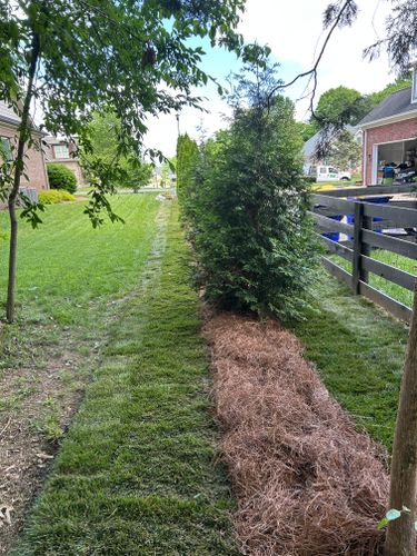 Mulch Installation for Optimum Tree Service And Landscaping in Bowling Green, KY