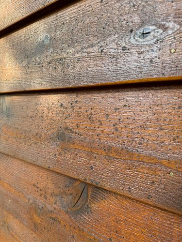 All Photos for Swift Serve in Coeur d'Alene, ID