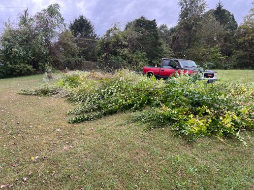 All Photos for The Yard Barbers in Somerset, KY