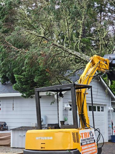 Tree Removal for Trio Tree Services in Ocean Park, WA