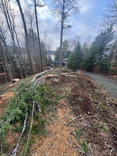  for Clifford’s Quality Tree Care & Landscaping in Enfield, NH