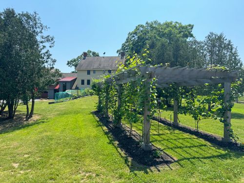 Landscape Design & Installation for Natural Roots in Georgetown, ME