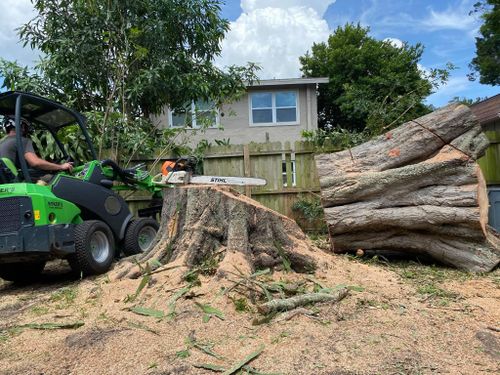 Tree Removal for Ryker's Tree Service in Dunedin, FL