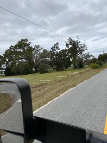 Land Clearing for Nettles Fence in Lake County, FL
