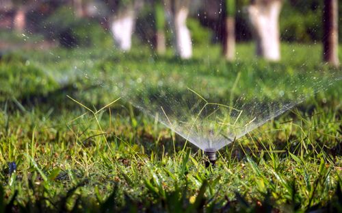 Sprinkler Repair for Tezna Landscaping, Trees & Pavers in Valrico, FL