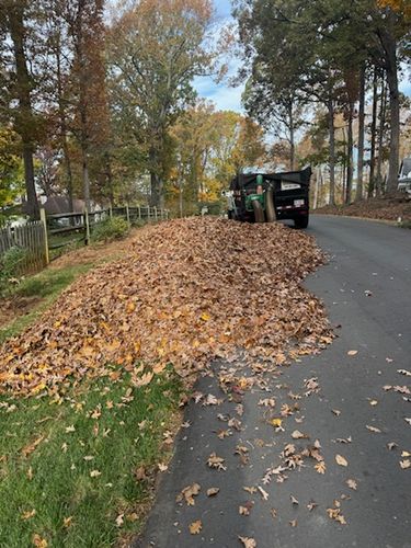  for Reiser Lawn Service in Denver, North Carolina