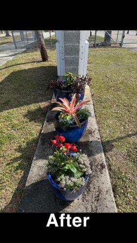 Landscaping for Rize N’ Grind  in Punta Gorda, FL